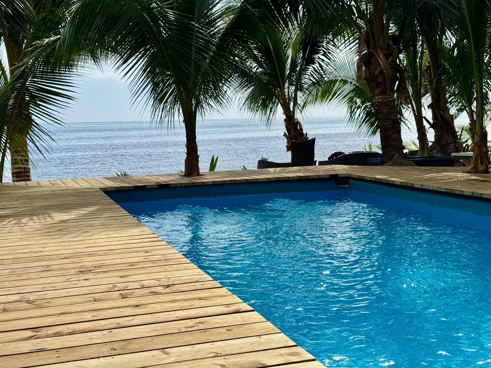 Piscine sur la terrasse à Haapiti, palmiers et lagon au-delà.