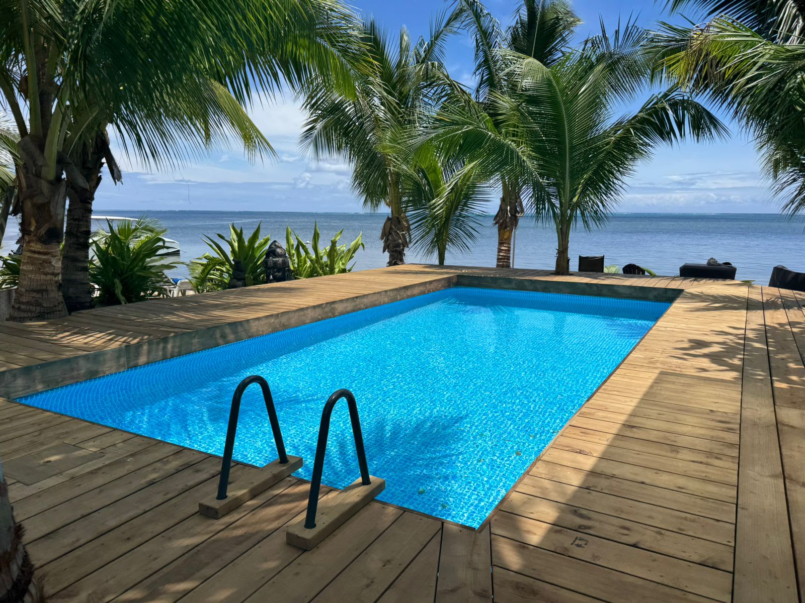Piscine face à l'océan avec vue sur les palmiers