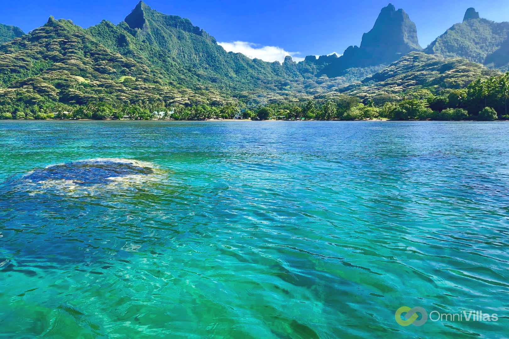 Lagon turquoise et montagnes à Haapiti, Moorea