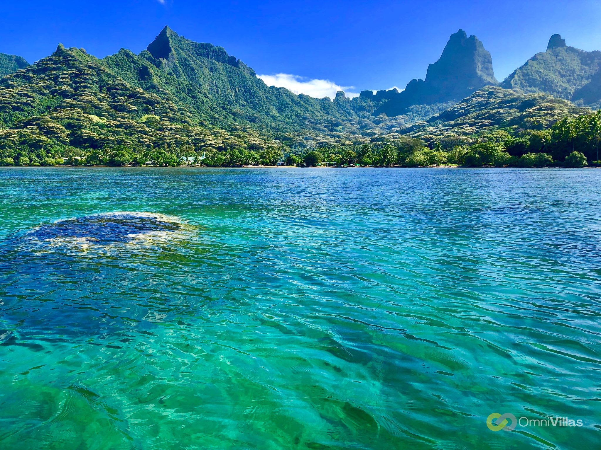 Le lagon de Haapiti et les pics de Moorea, juste en face.